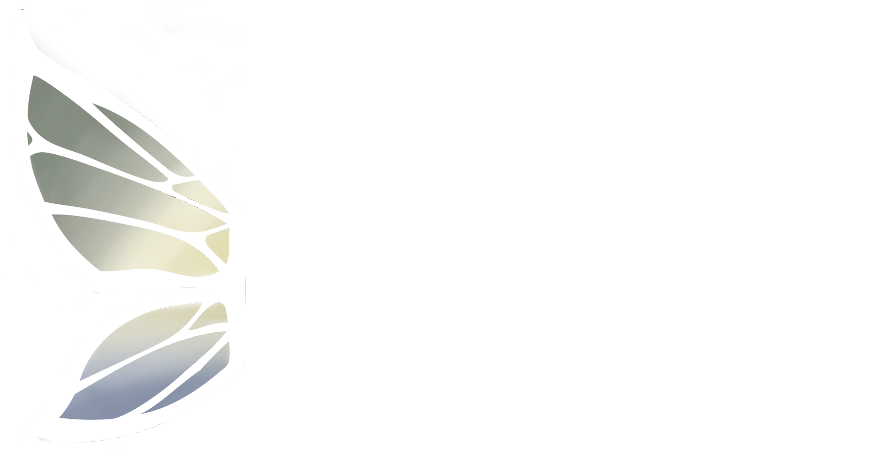 Ativo 6